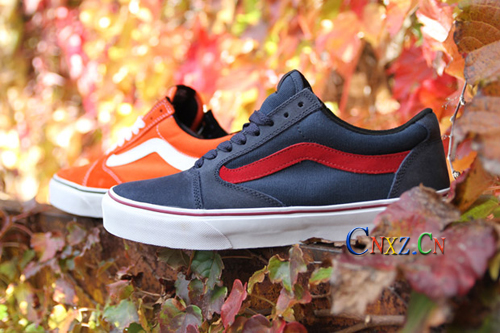 Vans 2011 Holiday TNT 5ůع