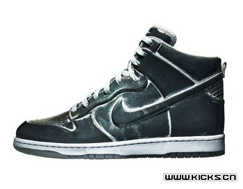 Nike Sportswear Vac-Tech Dunk Hi ҫ۹â(4)