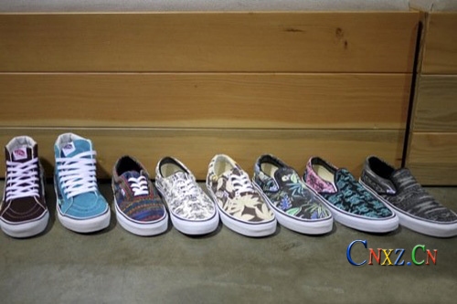 2012 Vans (chung)ʼVan DorenϵЬA(y)[